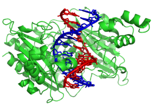 structure of a protein